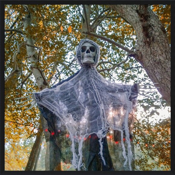 Spooky Season